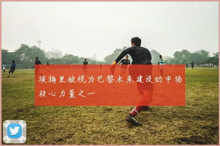 埃梅里被视为巴黎未来建设的中场核心力量之一