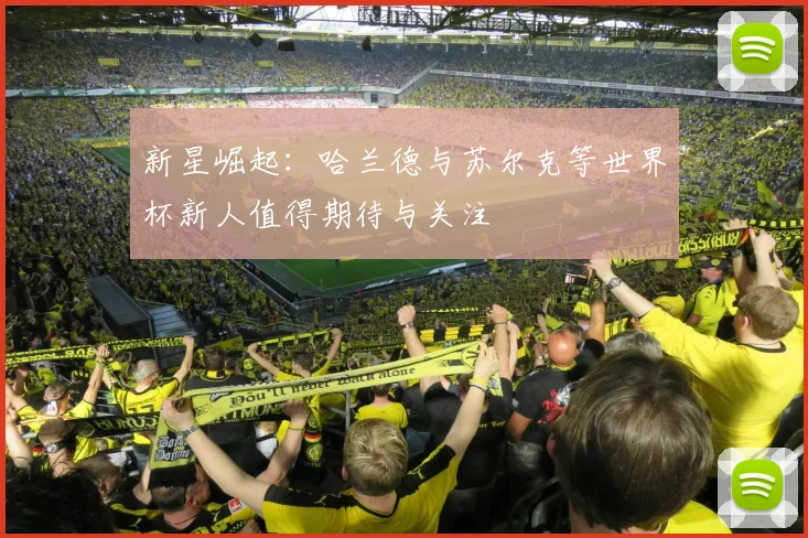新星崛起：哈兰德与苏尔克等世界杯新人值得期待与关注