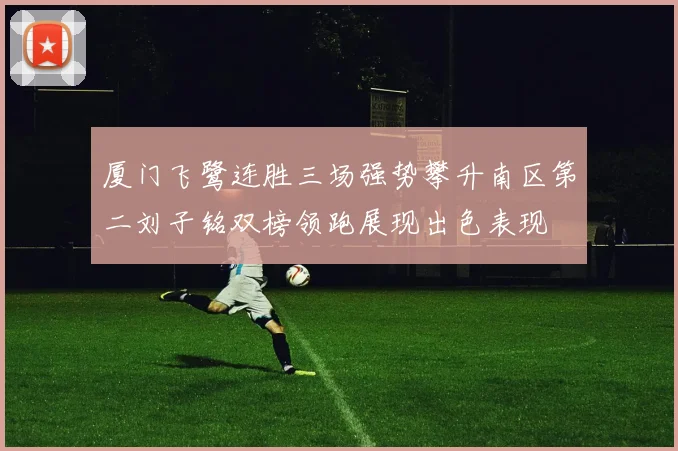 厦门飞鹭连胜三场强势攀升南区第二刘子铭双榜领跑展现出色表现